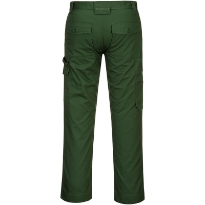 CD884-GREEN-PARENT[1].jpg